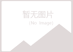 霞山区字迹音乐有限公司